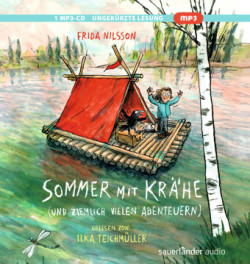 Sommer mit Krähe, 1 Audio-CD, 1 MP3