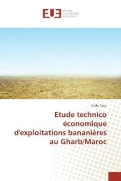 Etude technico économique d'exploitations bananières au Gharb/Maroc