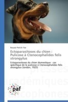 Ectoparasitoses du chien : Pulicose à Ctenocephalides felis strongylus