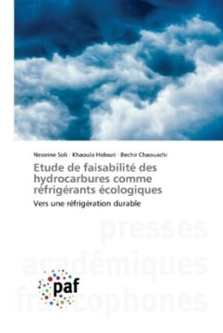 Etude de faisabilité des hydrocarbures comme réfrigérants écologiques