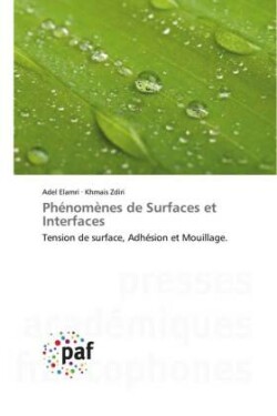 Phénomènes de Surfaces et Interfaces