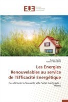 Les Energies Renouvelables Au Service de l'Efficacité Energétique