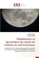 Teledetection Et Dynamique Des Stocks de Carbone Au Sud Cameroun