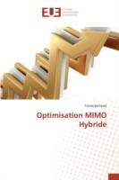 Optimisation Mimo Hybride