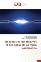 Modélisation Des Flammes Et Des Polluants En Micro Combustion