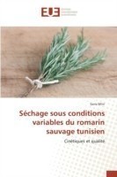 Sechage Sous Conditions Variables Du Romarin Sauvage Tunisien