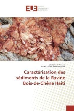 Caractérisation des sédiments de la Ravine Bois-de-Chêne Haiti