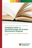 Anatomia foliar e morfofisiologia de Grama-Missioneira-Gigante