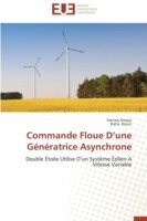 Commande Floue D Une G�n�ratrice Asynchrone