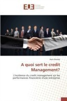 Quoi Sert Le Credit Management?