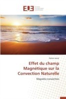 Effet Du Champ Magn�tique Sur La Convection Naturelle