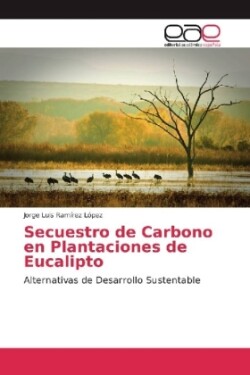 Secuestro de Carbono en Plantaciones de Eucalipto