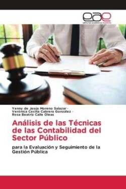 Análisis de las Técnicas de las Contabilidad del Sector Público