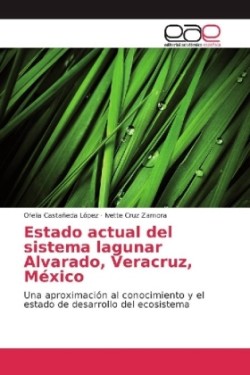 Estado actual del sistema lagunar Alvarado, Veracruz, México