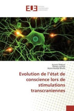 Evolution de L �tat de Conscience Lors de Stimulations Transcraniennes