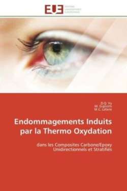 Endommagements induits par la thermo oxydation