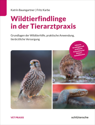 Wildtierfindlinge in der Tierarztpraxis