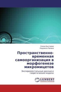 Prostranstvenno-Vremennaya Samoorganizatsiya V Morfogeneze Mikromitsetov