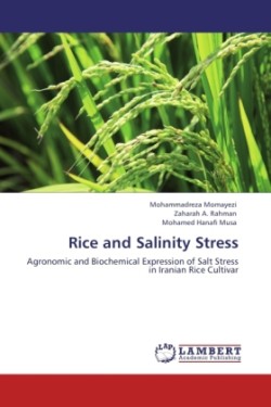 Rice and Salinity Stress