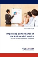 Improving Performance in the African Civil Service