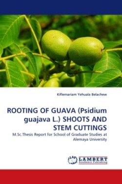 Rooting of Guava (Psidium Guajava L.) Shoots and Stem Cuttings