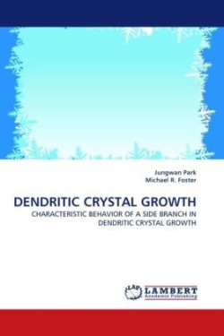 Dendritic Crystal Growth