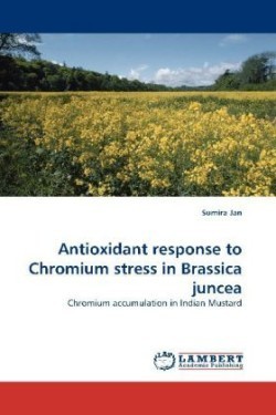 Antioxidant response to Chromium stress in Brassica juncea