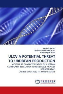 Ulcv a Potential Threat to Urdbean Production