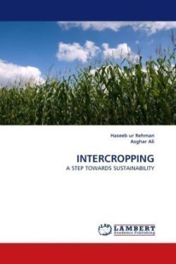 Intercropping