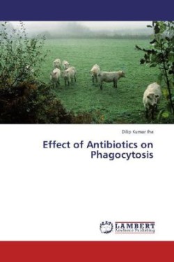 Effect of Antibiotics on Phagocytosis