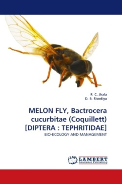 Melon Fly, Bactrocera Cucurbitae (Coquillett) [Diptera