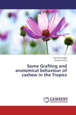 Some Grafting and Anatomical Behaviour of Cashew in the Tropics