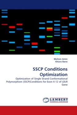 SSCP Conditions Optimization