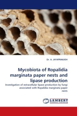 Mycobiota of Ropalidia Marginata Paper Nests and Lipase Production