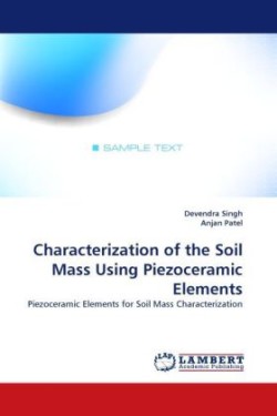 Characterization of the Soil Mass Using Piezoceramic Elements