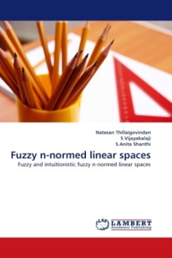 Fuzzy N-Normed Linear Spaces