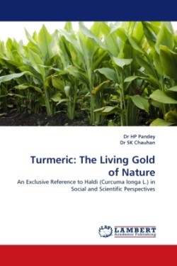 Turmeric
