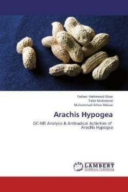 Arachis Hypogea