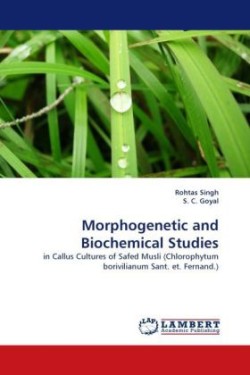 Morphogenetic and Biochemical Studies