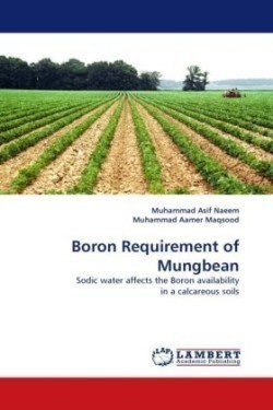 Boron Requirement of Mungbean