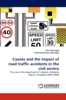 Causes and the impact of road traffic accidents in the civil service