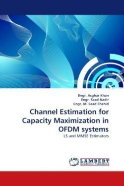 Channel Estimation for Capacity Maximization in OFDM systems