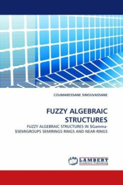 Fuzzy Algebraic Structures