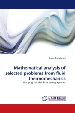 Mathematical analysis of selected problems from fluid thermomechanics
