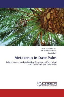 Metaxenia In Date Palm