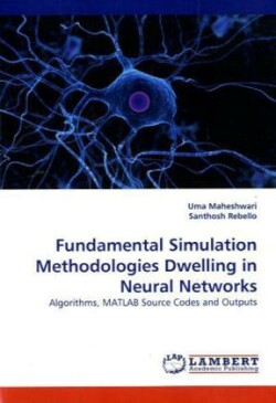 Fundamental Simulation Methodologies Dwelling in Neural Networks