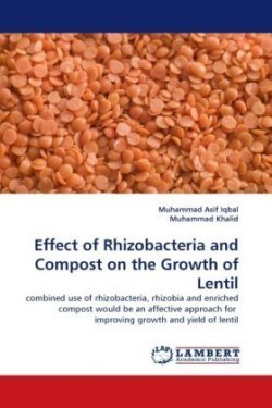 Effect of Rhizobacteria and Compost on the Growth of Lentil