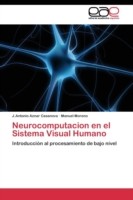 Neurocomputacion en el Sistema Visual Humano