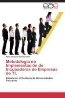 Metodología de Implementación de Incubadoras de Empresas de TI.