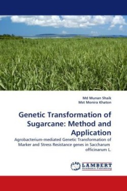 Genetic Transformation of Sugarcane